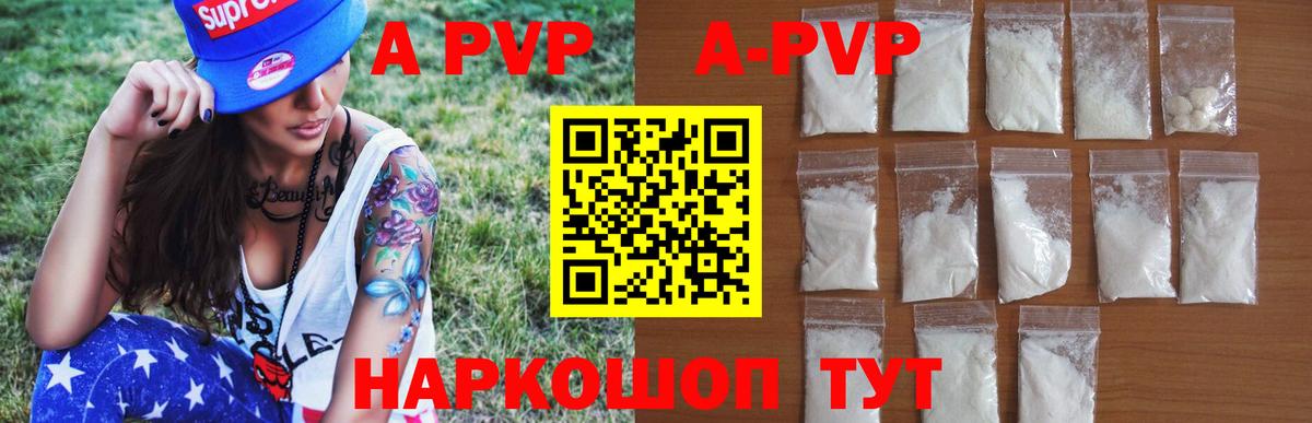 Alfa_PVP СК Усть-Джегута