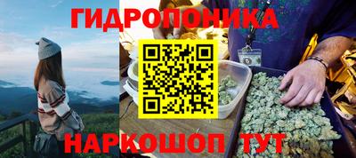 спиды Ливны