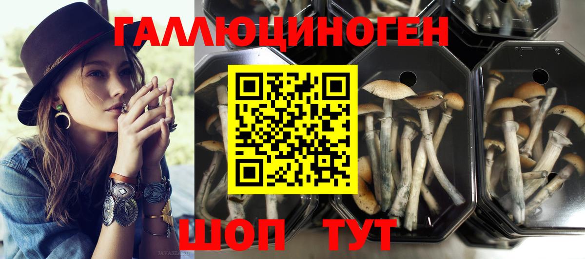 Галлюциногенные грибы мицелий  Вход с VPN  Галлюциногенные грибы мухоморы  Усть-Джегута 